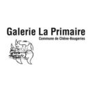 Galerie la Primaire, formation WordPress individuelle personnalisée